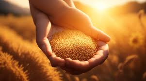 Ensino sobre a Palavra "Prosperidade"